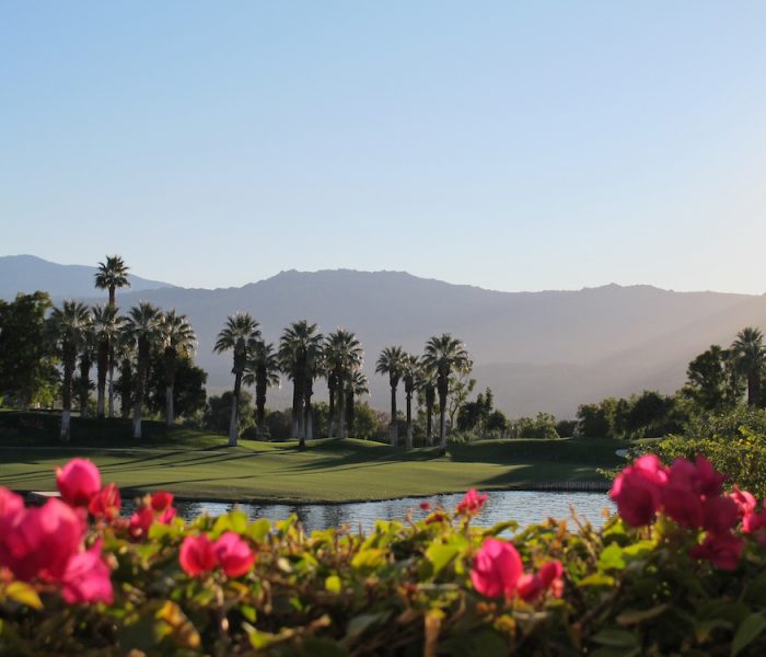 Palm Springs golf course with lush greens and plants